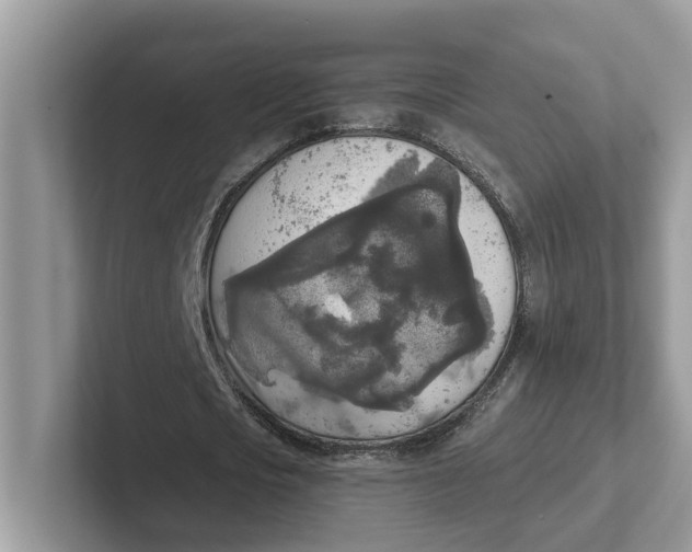 X0000101460721200807280958