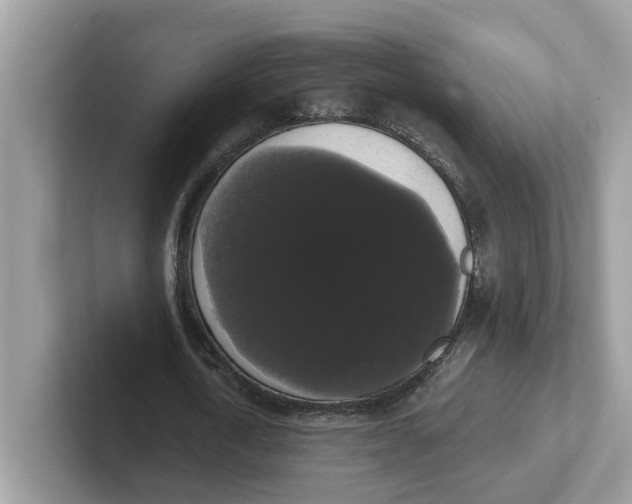 X0000101460722200807280958