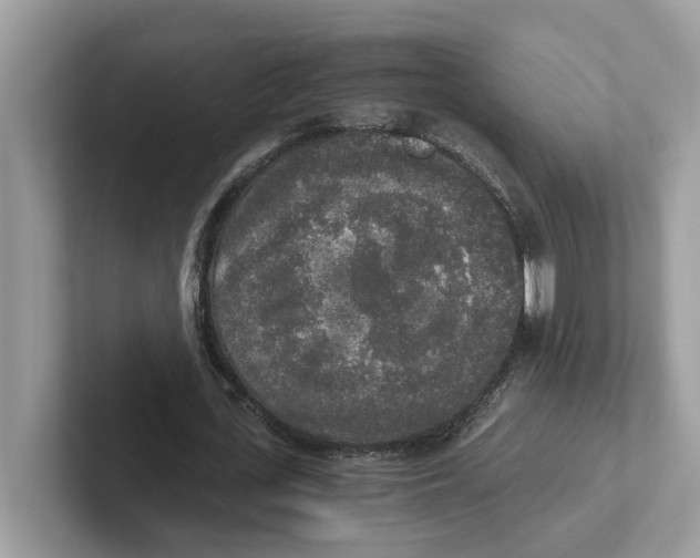 X0000101460723200807280959