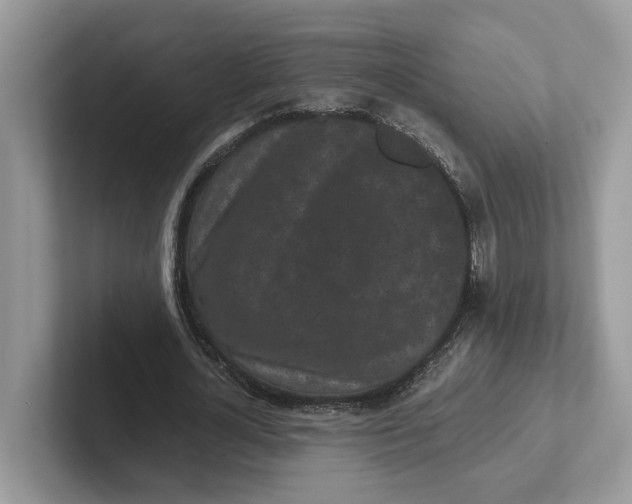 X0000101460724200807280959