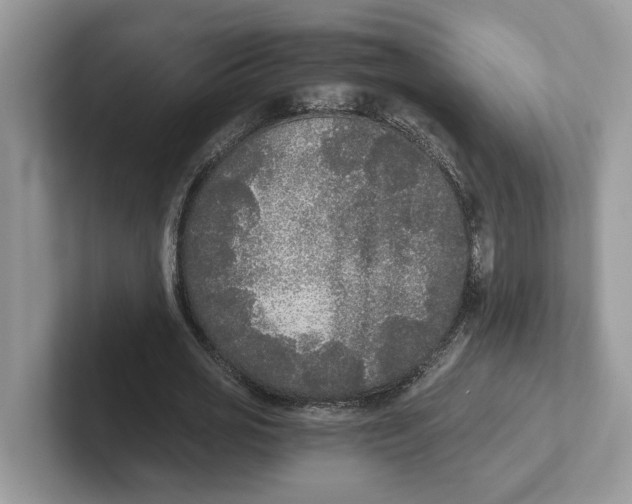 X0000101460725200807280959