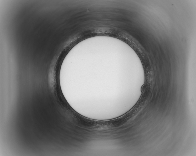 X0000101460727200807280959