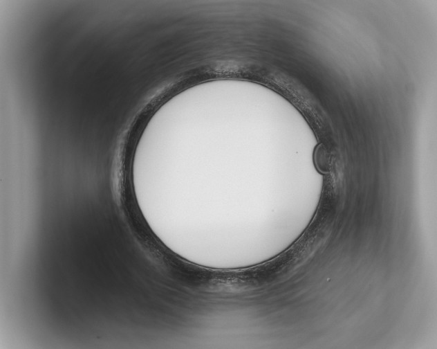 X0000101460728200807280959