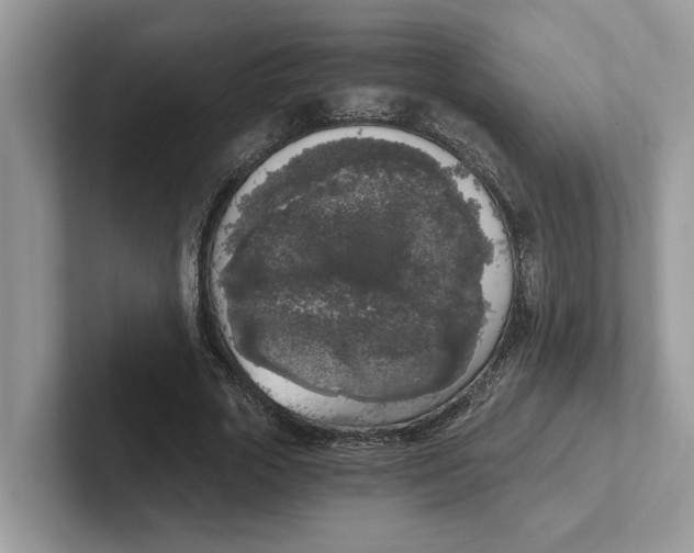 X0000101460729200807280959