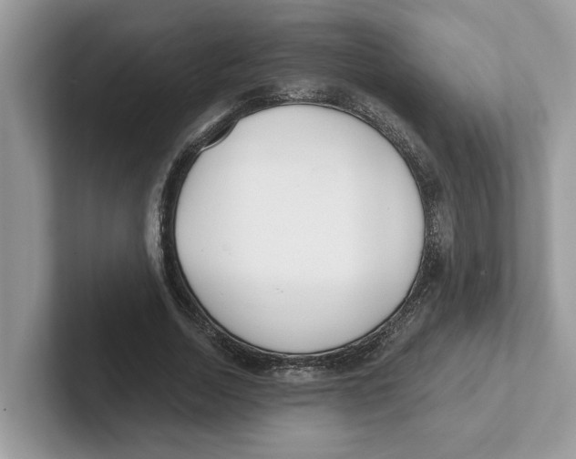 X0000101460730200807280959