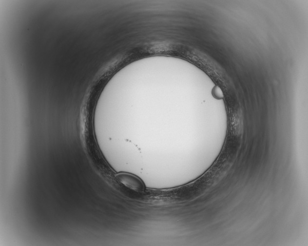 X0000101460732200807280959