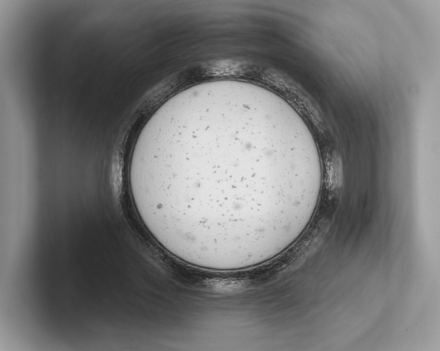 X0000101460733200807280959