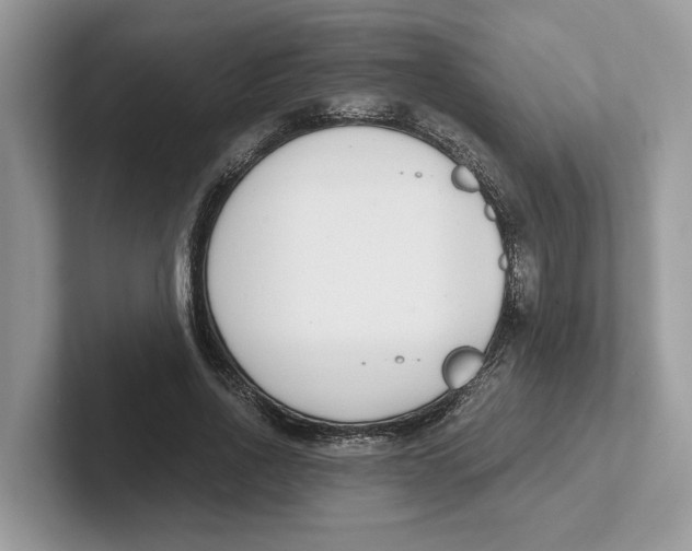 X0000101460734200807280959