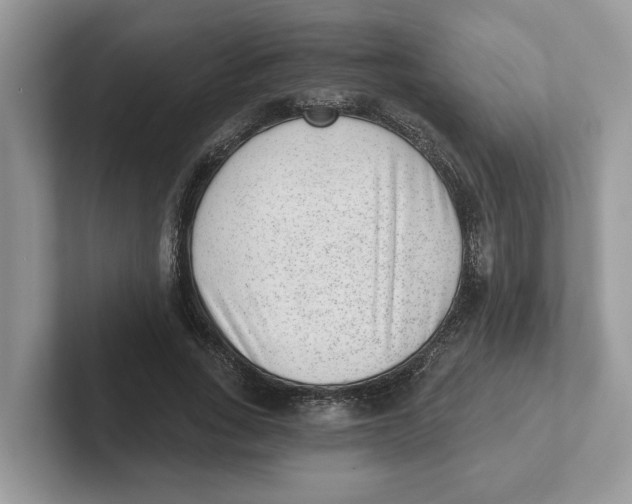 X0000101460735200807280959