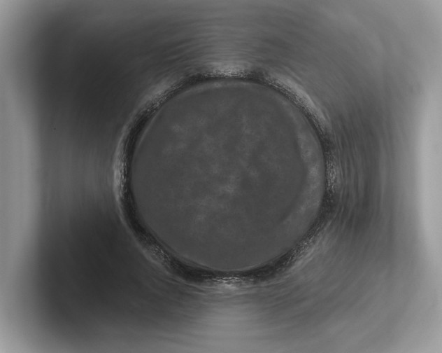 X0000101460736200807280959