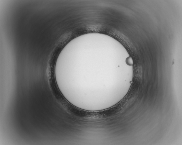 X0000101460738200807280959