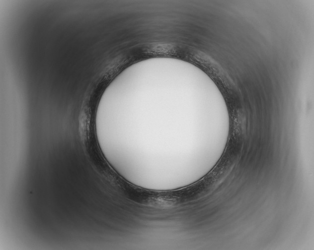 X0000101460739200807280959