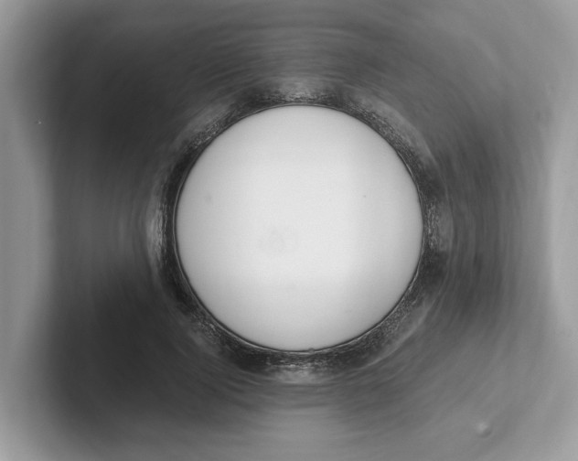 X0000101460740200807280959