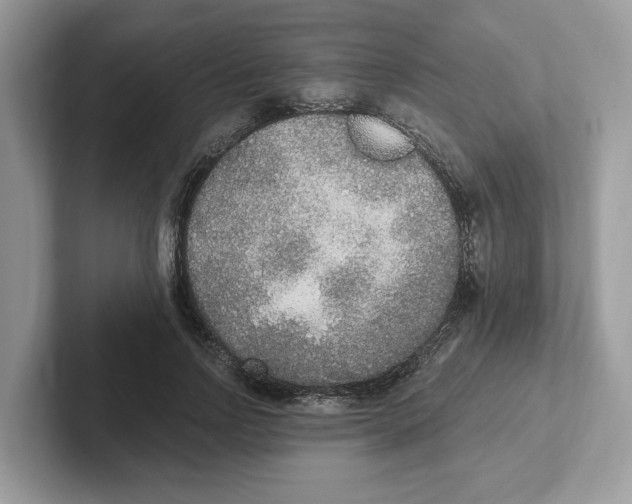 X0000101460742200807280959