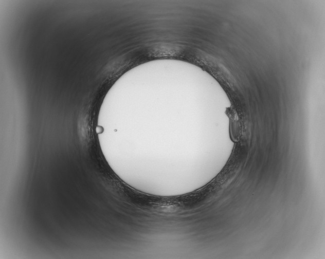 X0000101460743200807280959