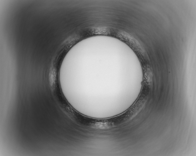 X0000101460744200807280959