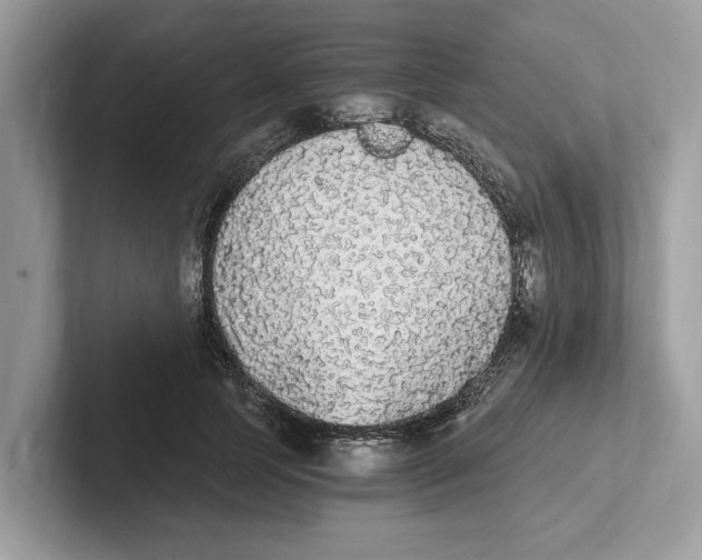 X0000101460745200807280959