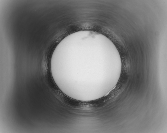 X0000101460746200807280959