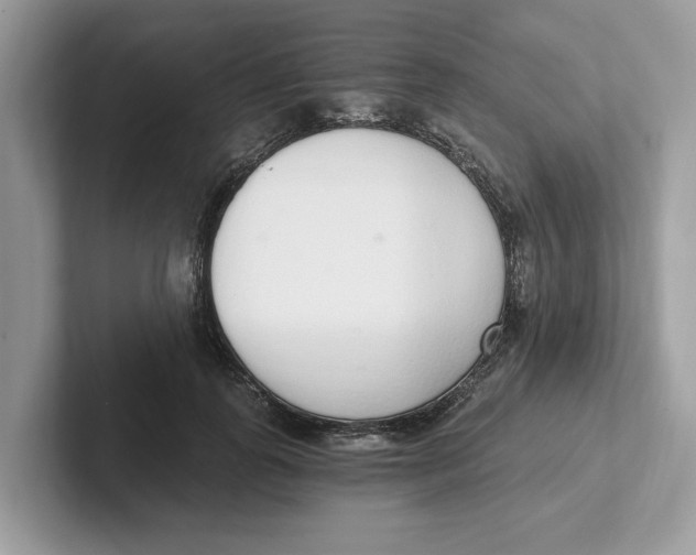 X0000101460747200807280959