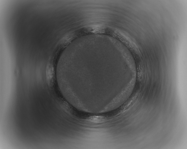 X0000101460748200807280959