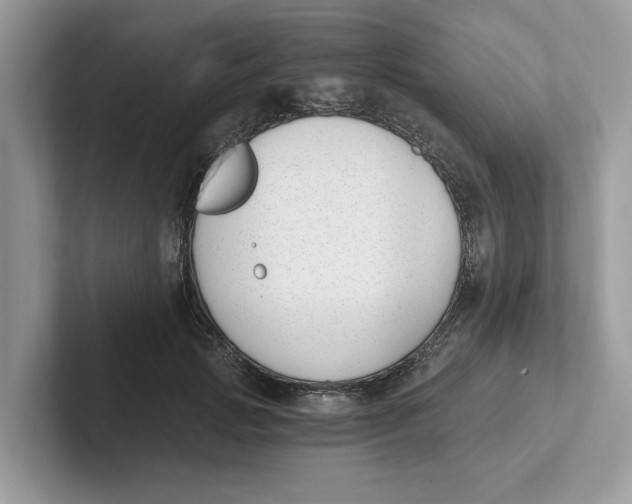 X0000101460749200807280959