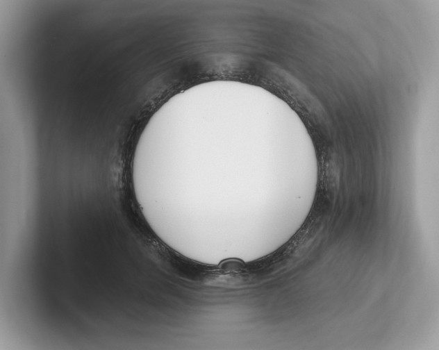 X0000101460750200807280959