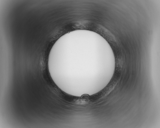 X0000101460751200807280959