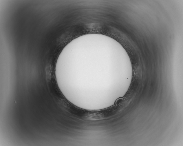 X0000101460752200807280959