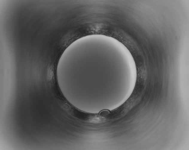 X0000101460754200807280959