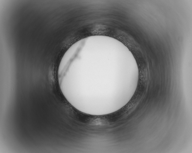 X0000101460755200807280959