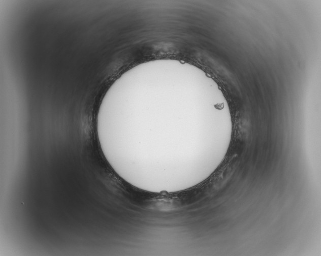 X0000101460756200807280959