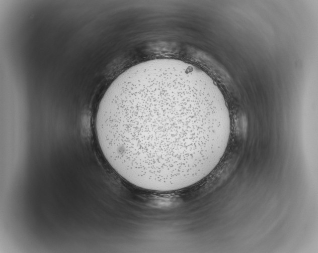 X0000101460757200807280959