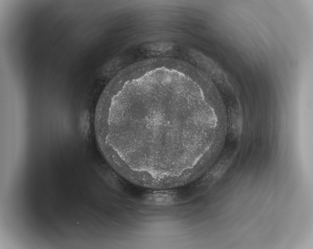 X0000101460758200807280959