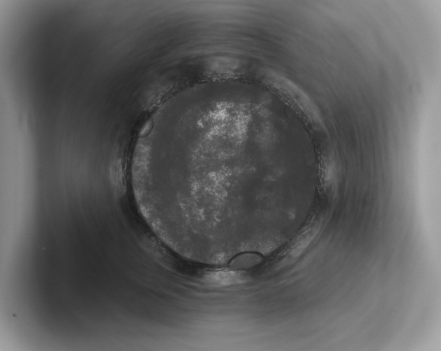 X0000101460759200807280959