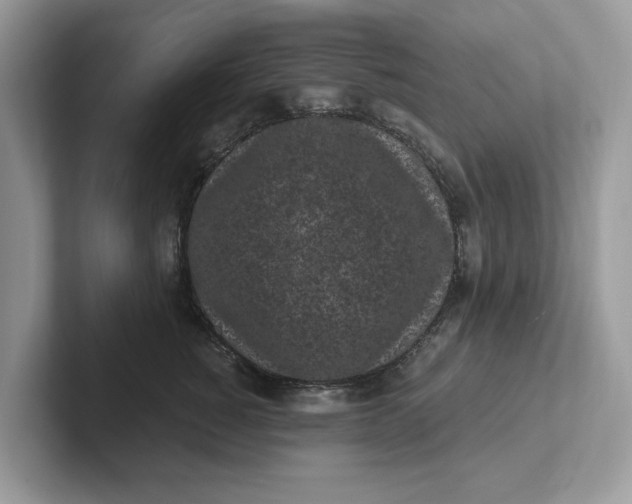 X0000101460760200807280959