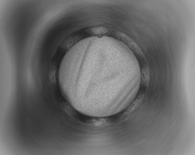 X0000101460762200807280959