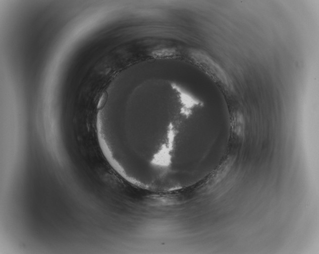 X0000101460763200807280959