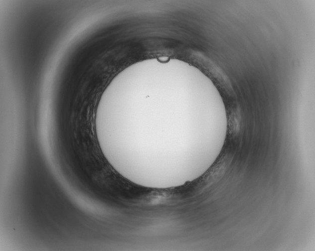 X0000101460764200807280959