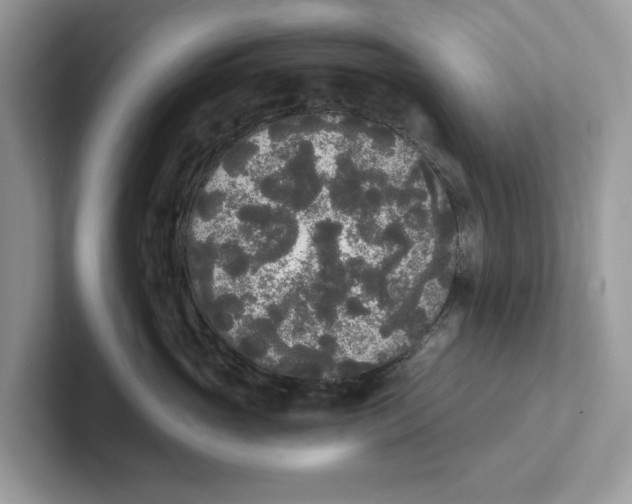 X0000101460765200807280959