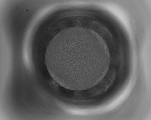 X0000101460766200807280959