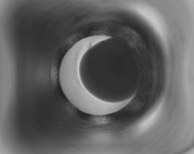 X0000101460767200807280959