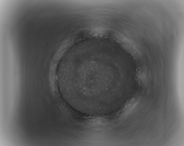 X0000101460769200807280958