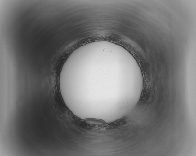 X0000101460773200807280958