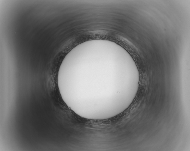 X0000101460774200807280958