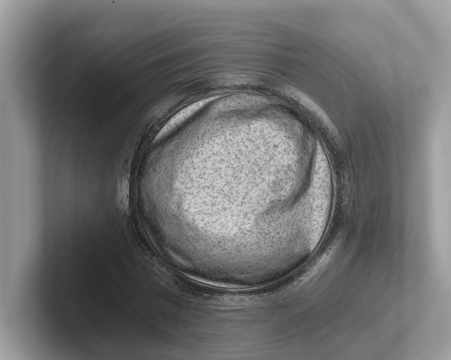 X0000101460777200807280958