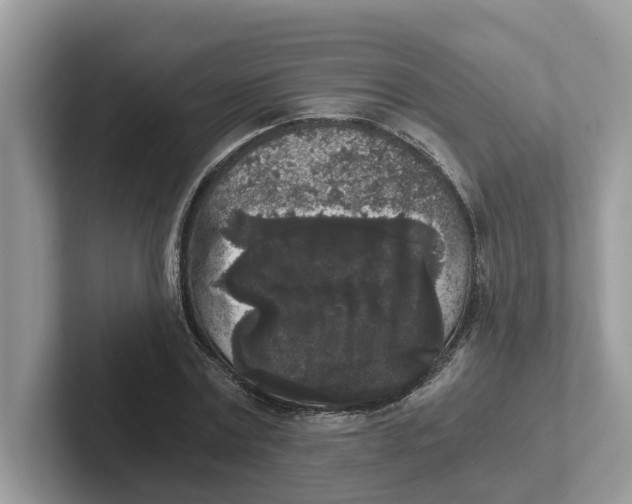 X0000101460779200807280958