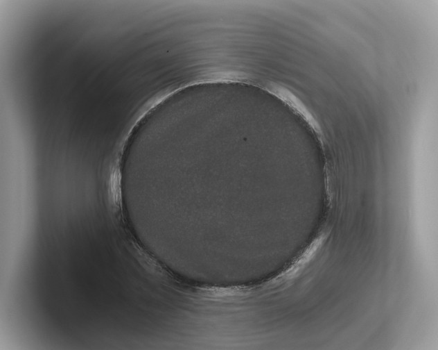 X0000101460781200807280958