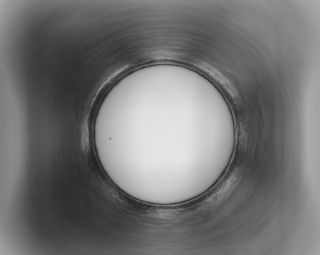 X0000101460782200807280958