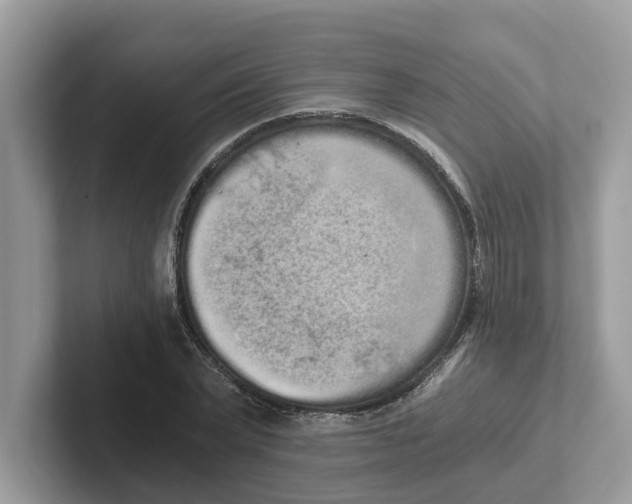 X0000101460783200807280958