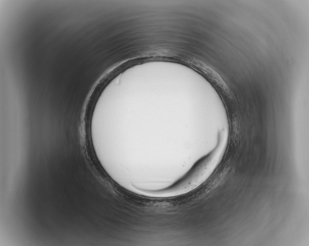 X0000101460784200807280958